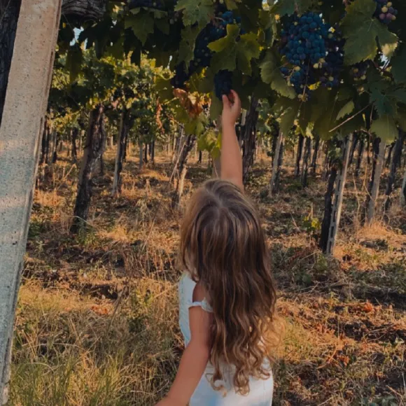 img-home-vigna